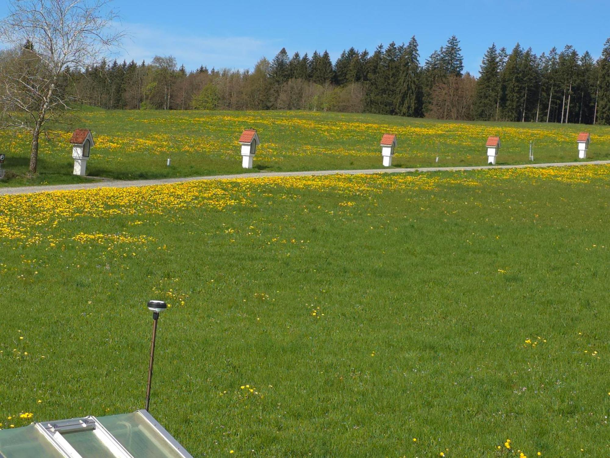 شقة Alpenblick Leutkirch im Allgäu الغرفة الصورة
